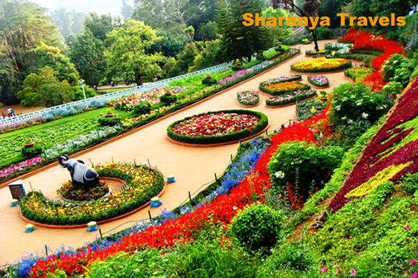 Bangalore to Ooty Tempo Traveller Rental | Mini Bus Hire Ooty Trip